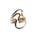 Dual Harmony Adjustable Ring | Gold & Silver Mix