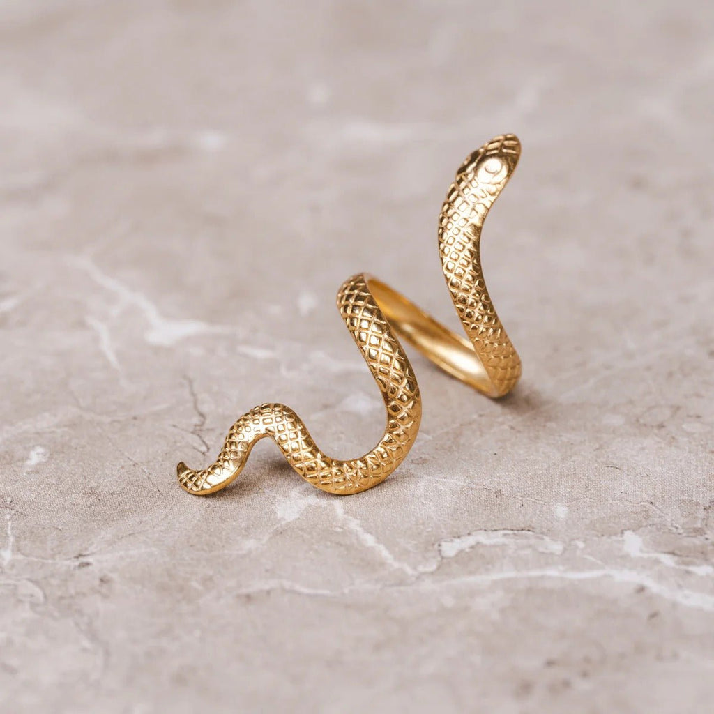 Anel Serpente Ajustável Banhado em Ouro 18K