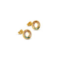 Brinco Rainbow Banhado em Ouro 18k